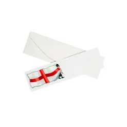 St George's Flag Mini Briefs
